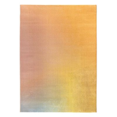 Tapis de salon Caro Multicolore