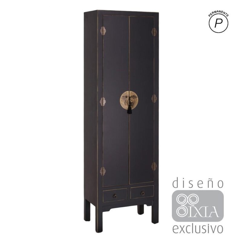 Armoire 2 Portes 2 Tiroirs Noir Ixia 185cm