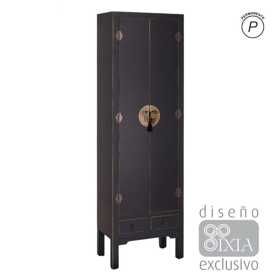 Armoire 2 Portes 2 Tiroirs Noir Ixia 185cm