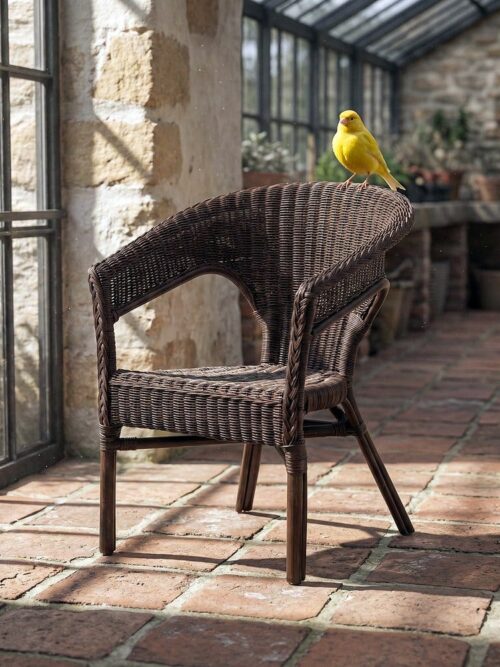 Chaise Marron Rotin Ixia