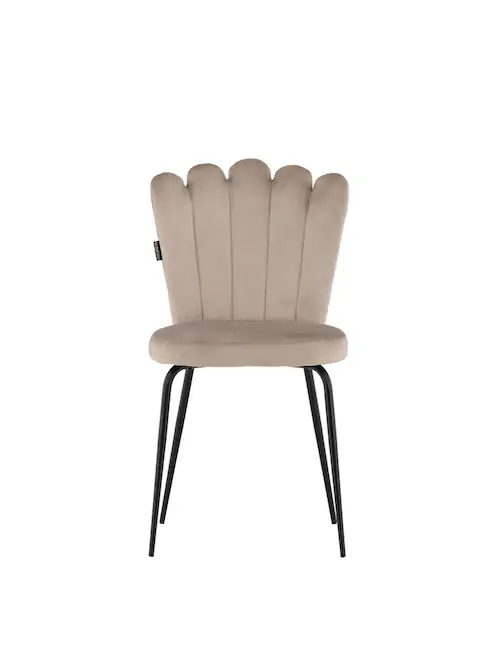 Lot de 2 : Chaise velours dossier coquille Furniture Fashion 44 cm