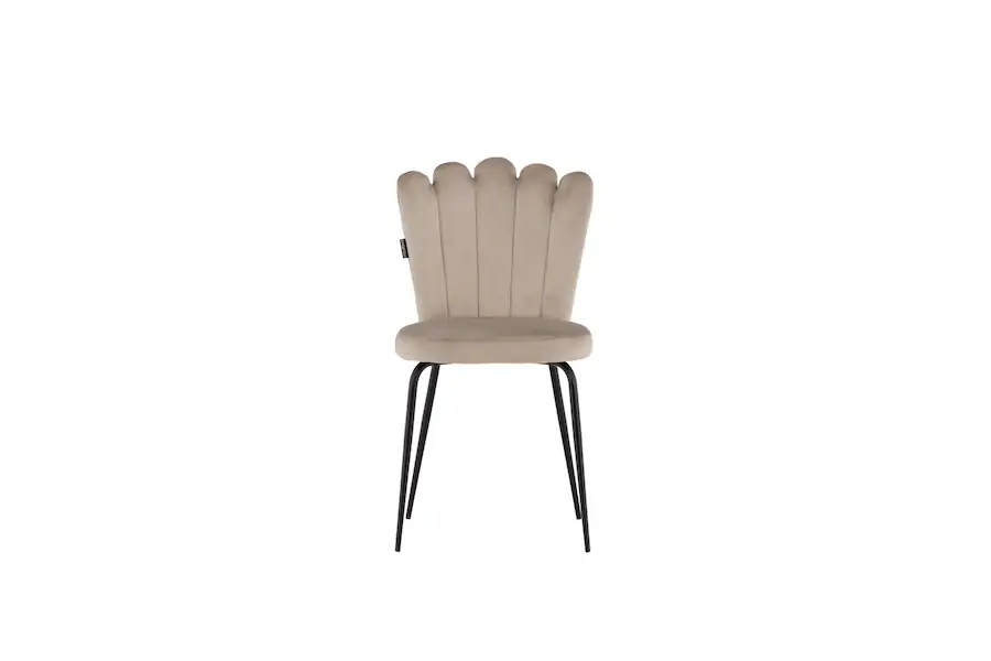 Chaise velours beige à dossier coquille sur fond blanc