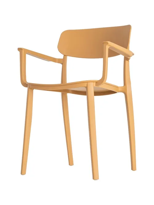Lot de 2 : Chaise Extérieur Polypropylène Ixia 51 cm